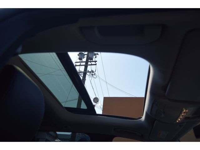 08250175