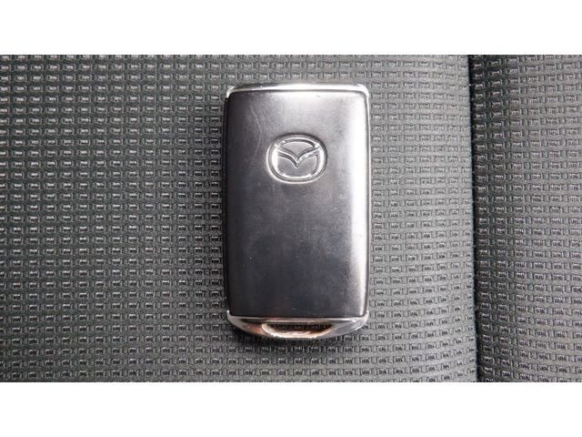08765519