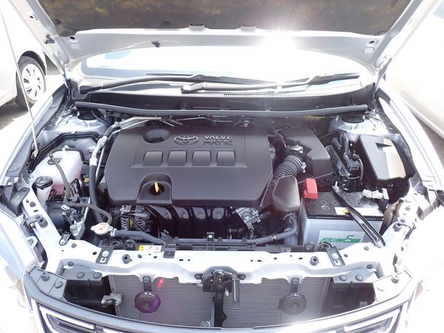 08765574