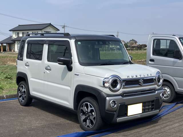 08800015