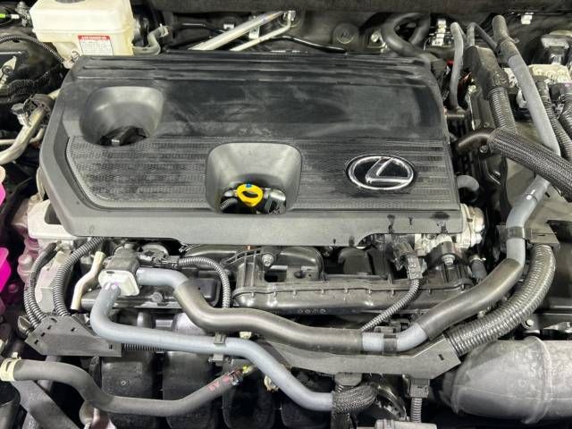 09261455