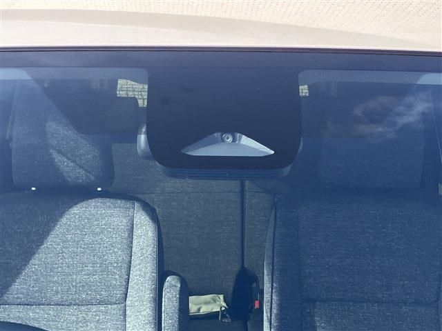 09365523