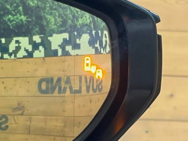 09560367