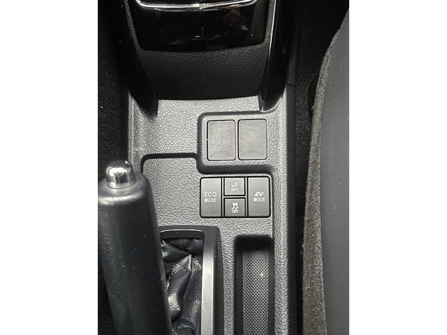 09650146