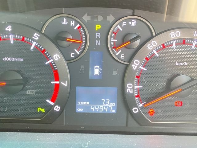 09650310