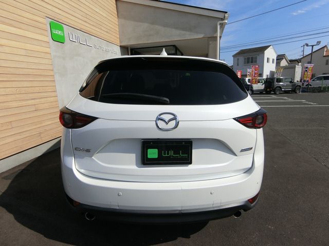 09665520