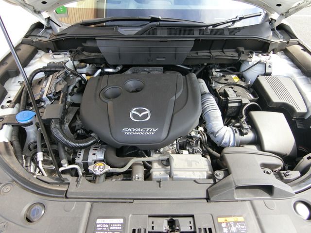 09665520
