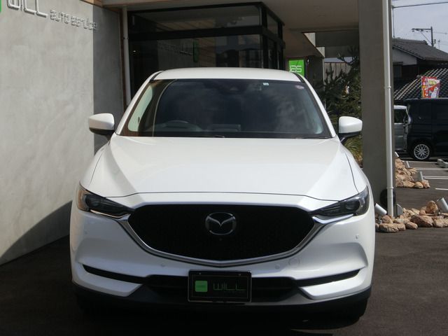 09665520