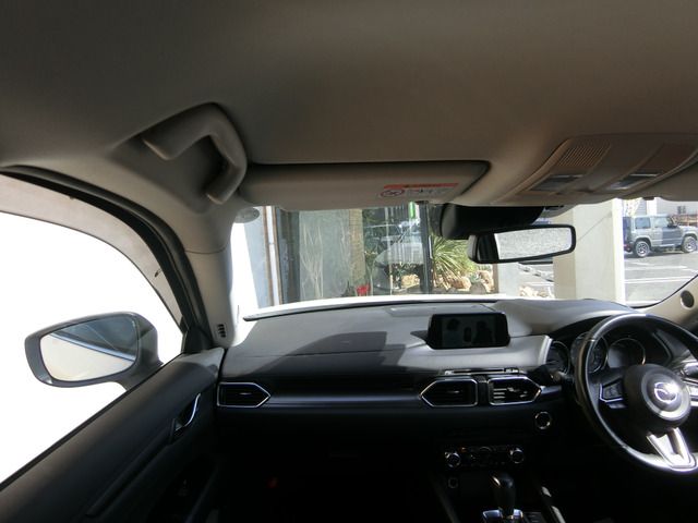 09665520