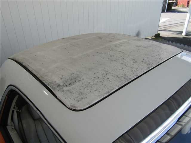 09665592