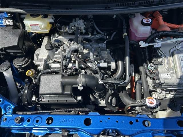 09665988