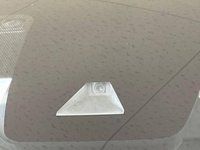 09760196