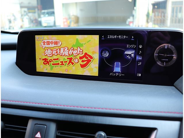 10050256