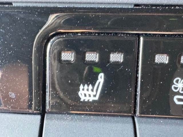 10060023