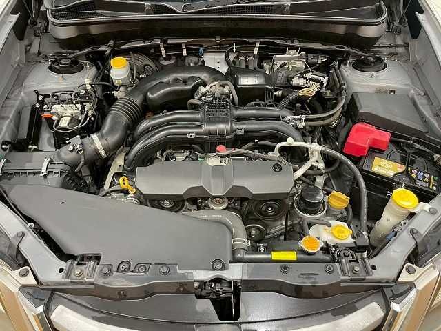 10162594