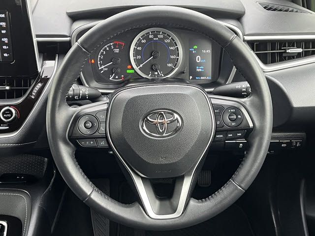 10165104