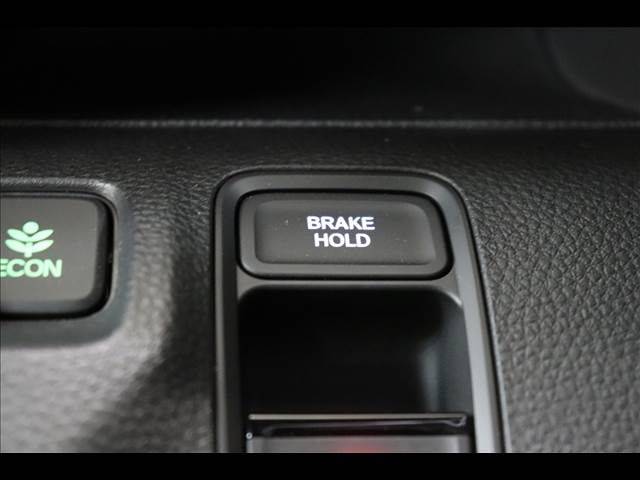 10166116