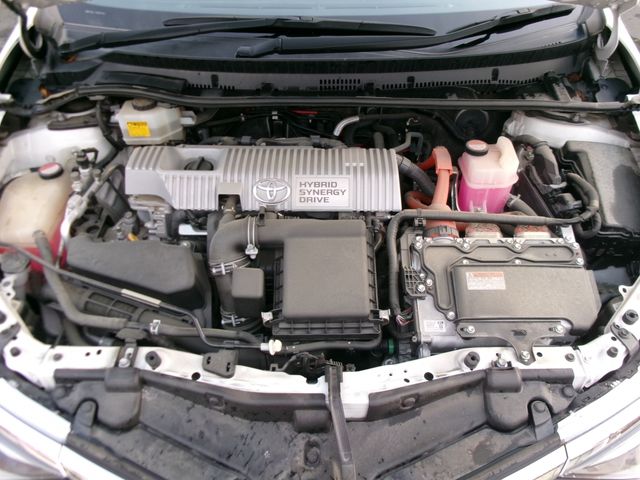 10220079
