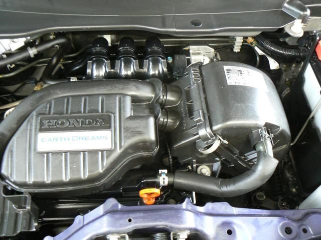 10250256