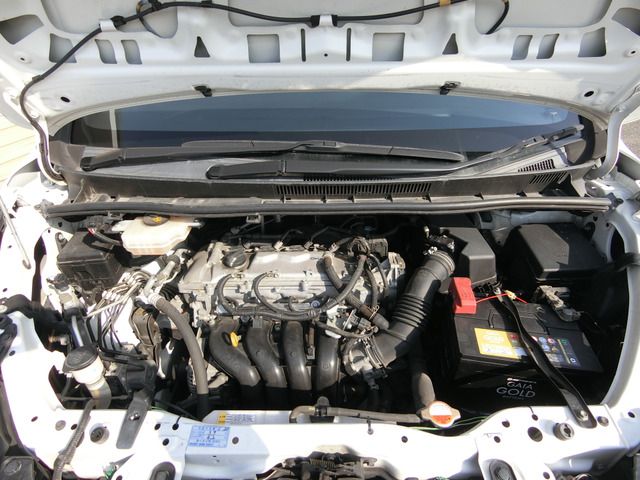 10265618