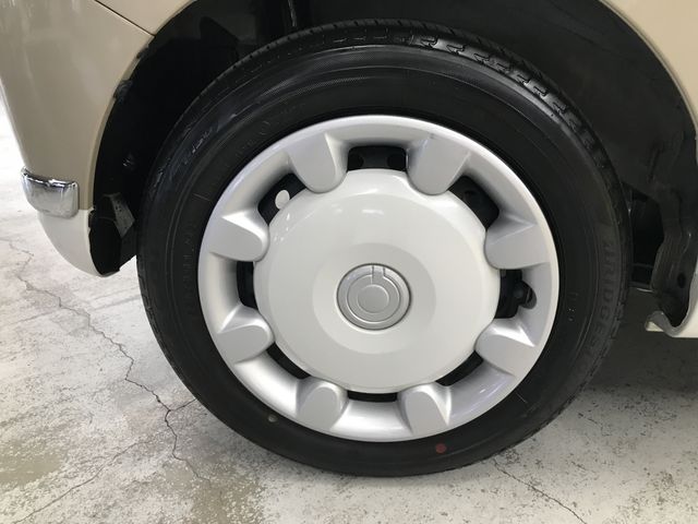 10650037