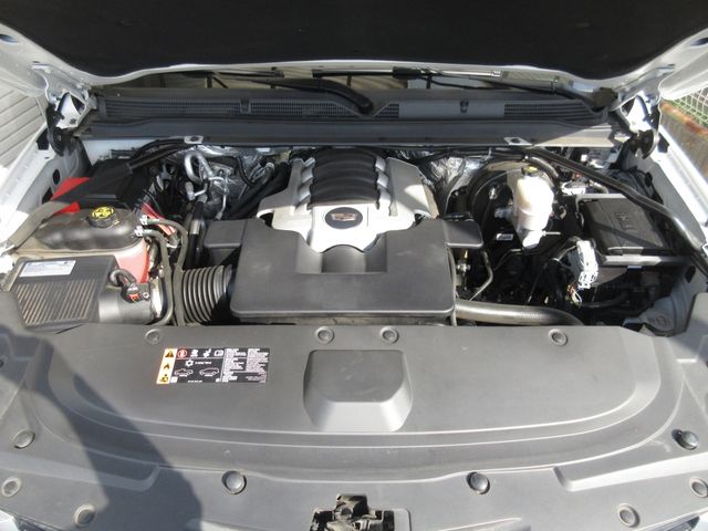 10750004