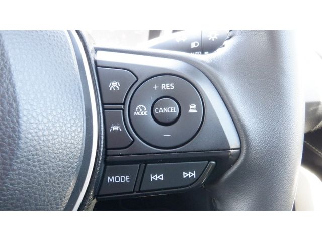 10820223