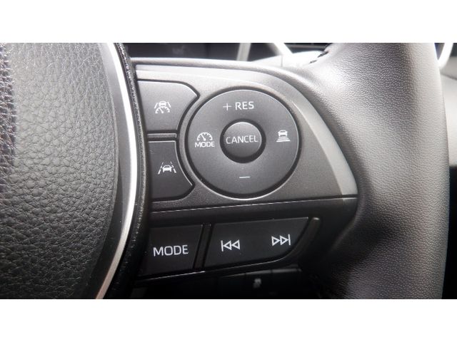10820231