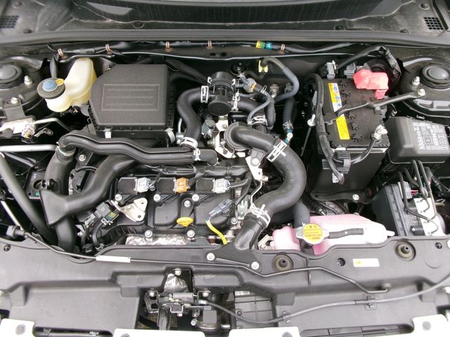 11650081