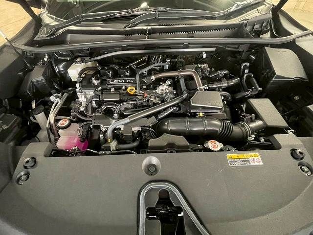 11662892