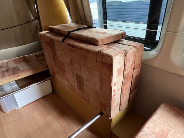 11700029