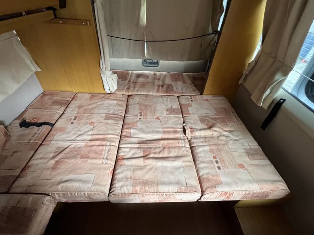 11700029