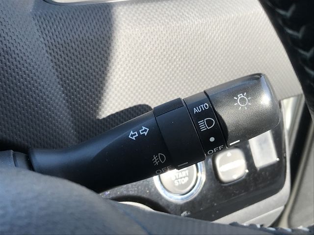 11750003
