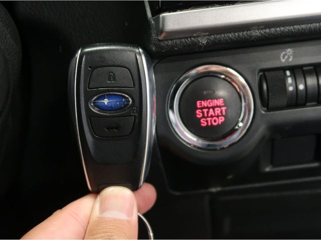 11750124