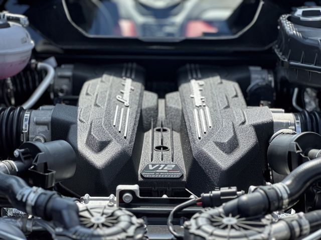 11765638