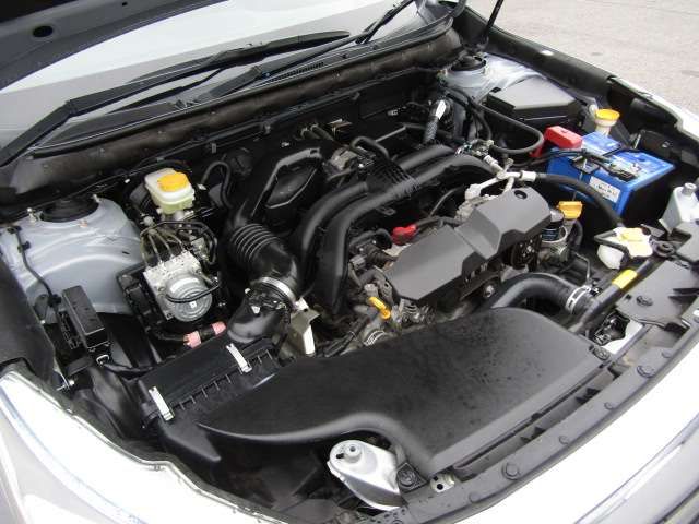 12000023