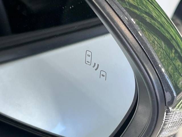12162036