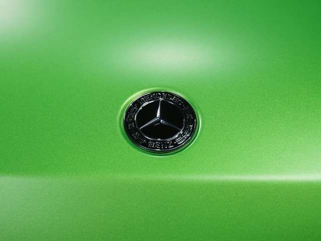 12200066