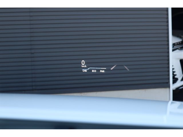 12261581