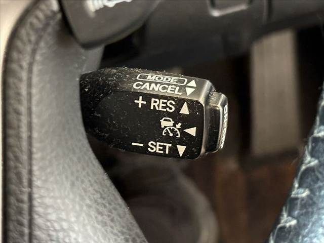12365629
