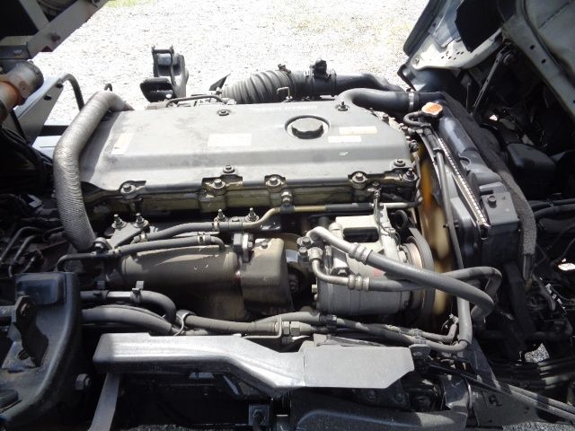 12450062