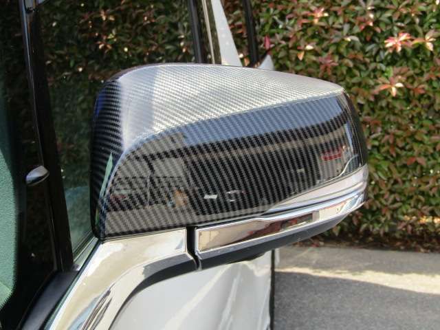 12500033