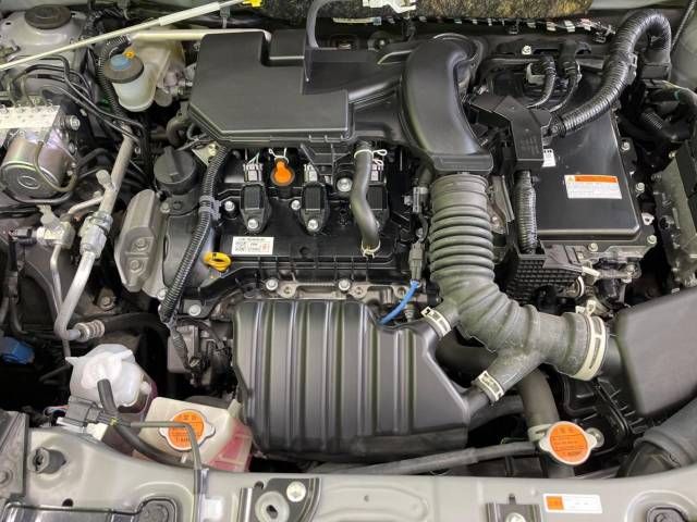 12560674