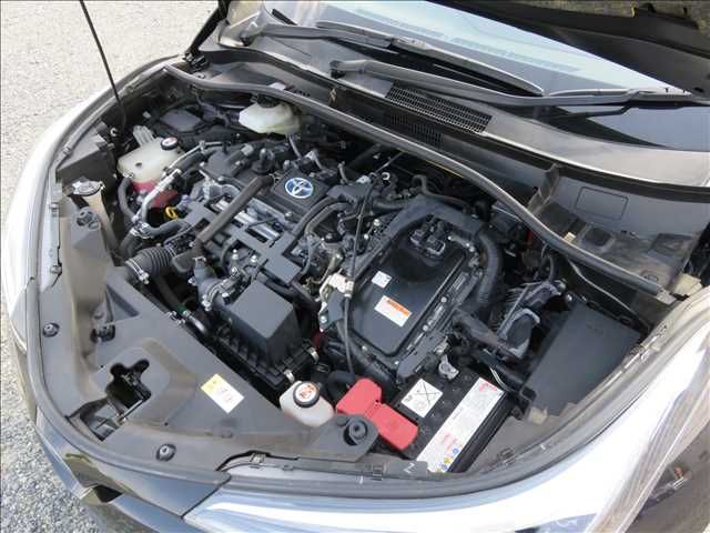 12565005