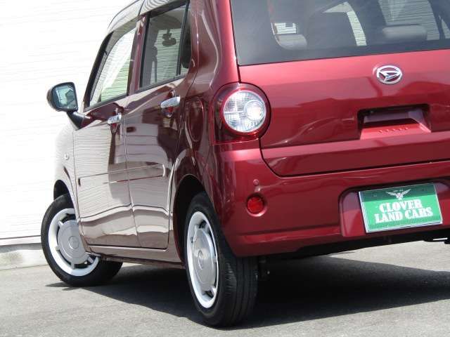 12900038