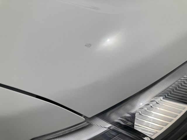 12950169