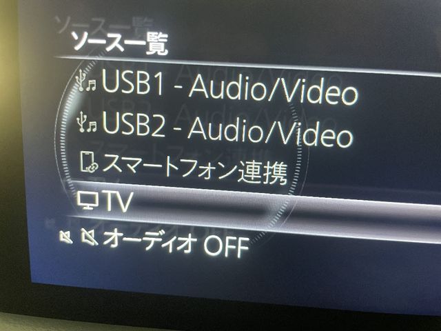 13050119