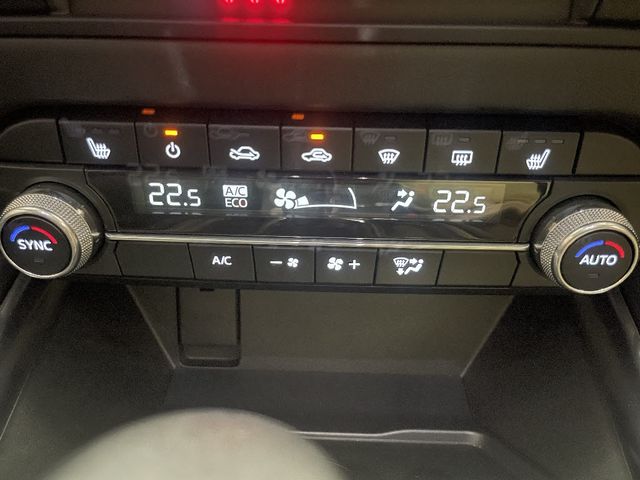 13050119