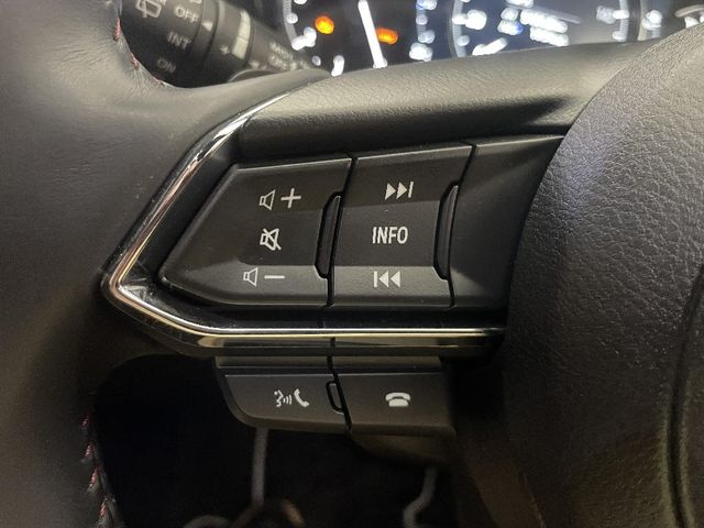 13050119