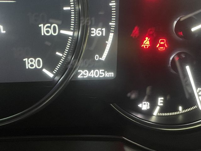 13050119